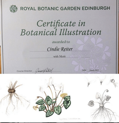 botanicalillustrationcertificate